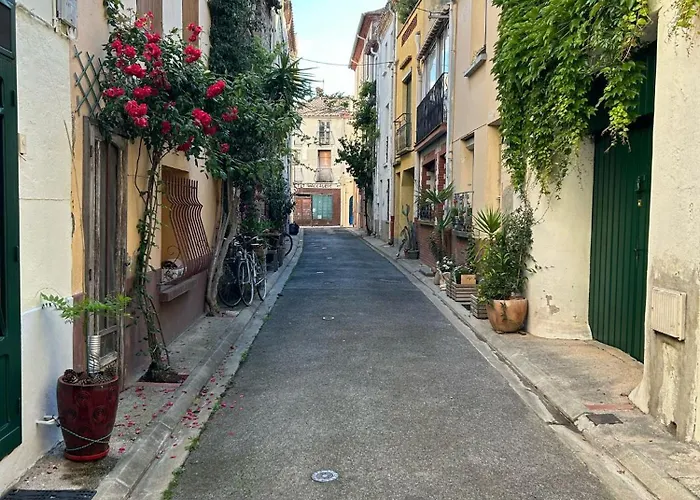 Un Havre De Paix Entre Et Montagne Apartment Argelès-sur-Mer