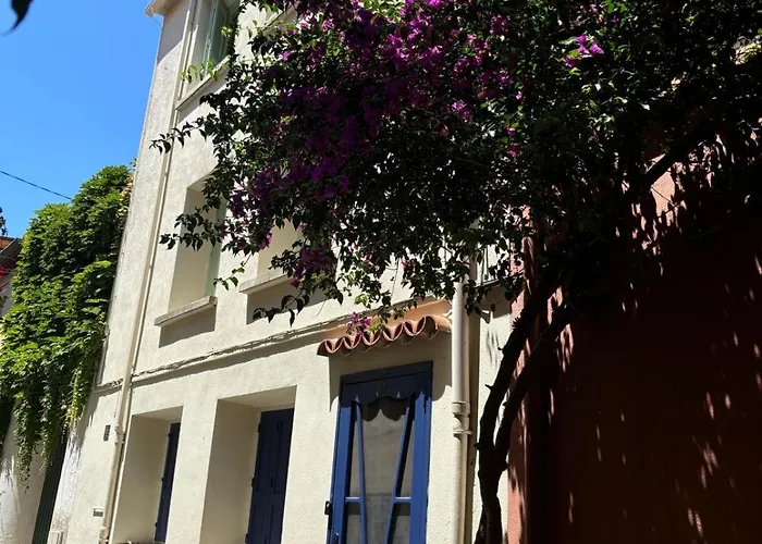 Un Havre De Paix Entre Et Montagne Argelès-sur-mer Appartement